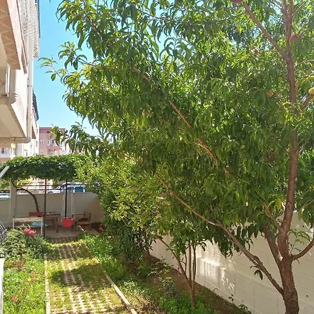 Apartment Bulut
